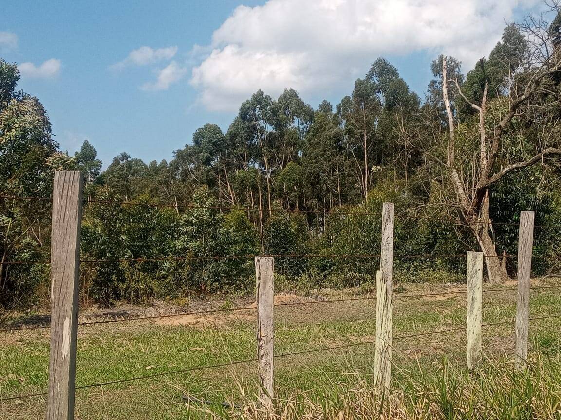 Terreno à venda, 3m² - Foto 2