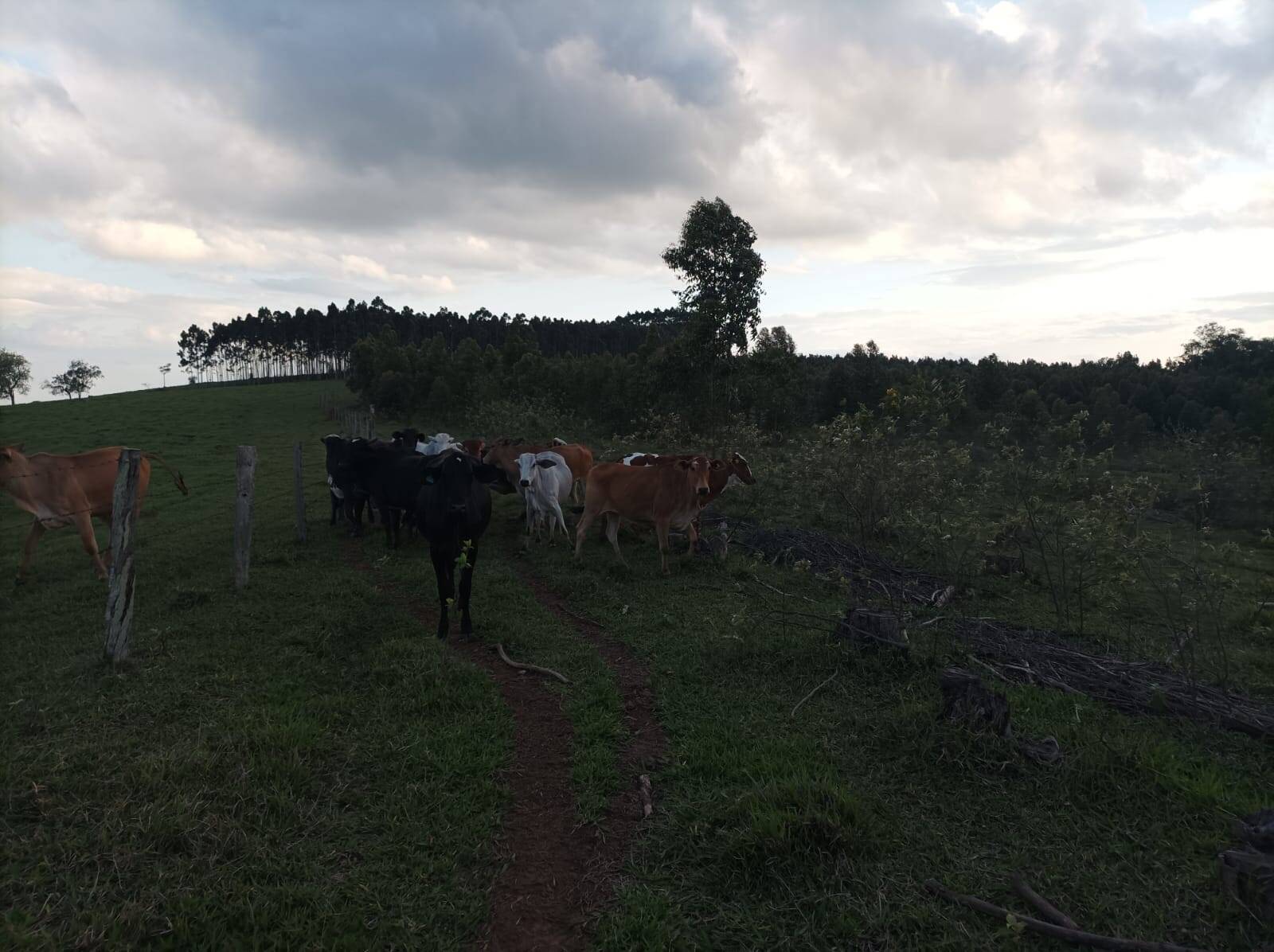 Terreno à venda, 3m² - Foto 5