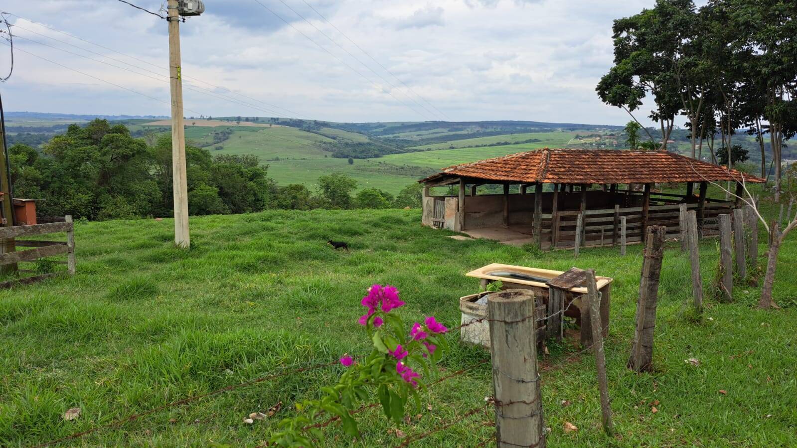 Terreno à venda, 3m² - Foto 3