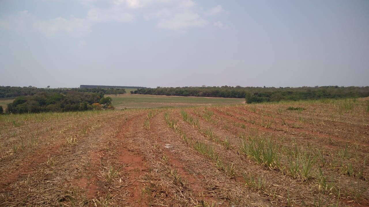 Terreno à venda, 75m² - Foto 6