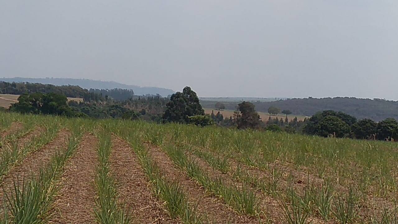 Terreno à venda, 75m² - Foto 8