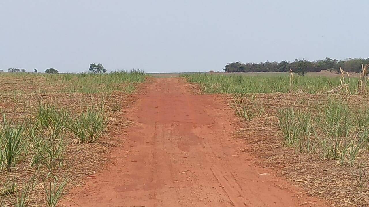 Terreno à venda, 75m² - Foto 11