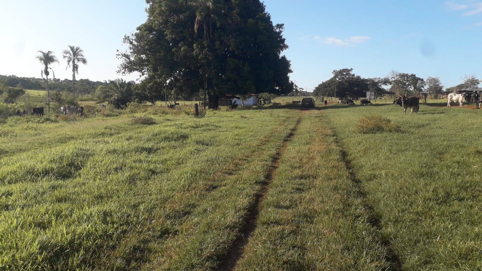 Terreno à venda, 118m² - Foto 7