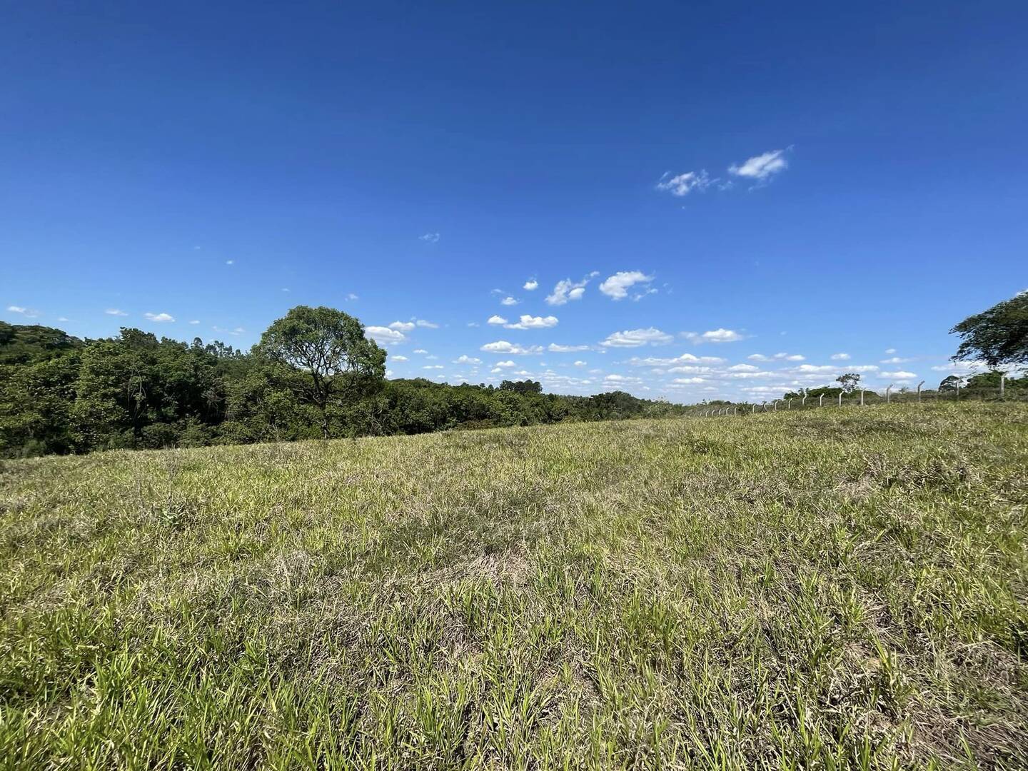 Terreno à venda, 5000m² - Foto 4