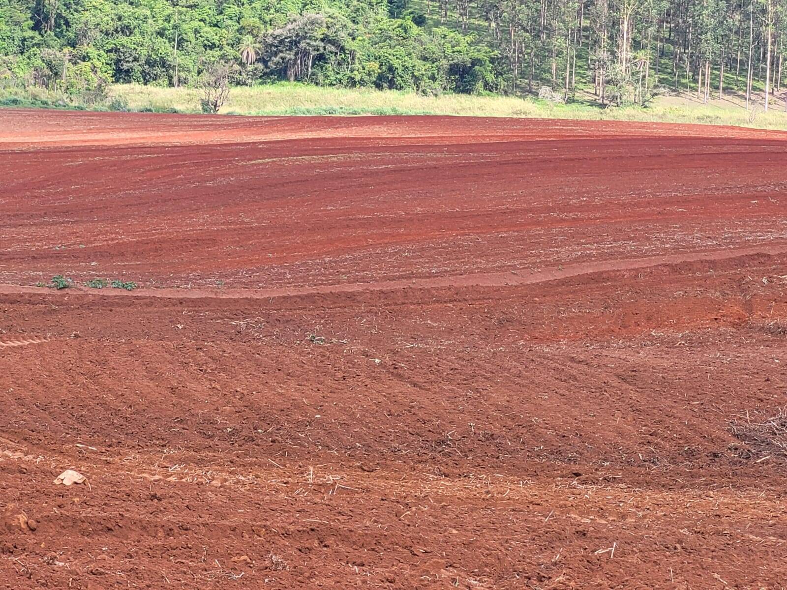 Terreno à venda, 25m² - Foto 1