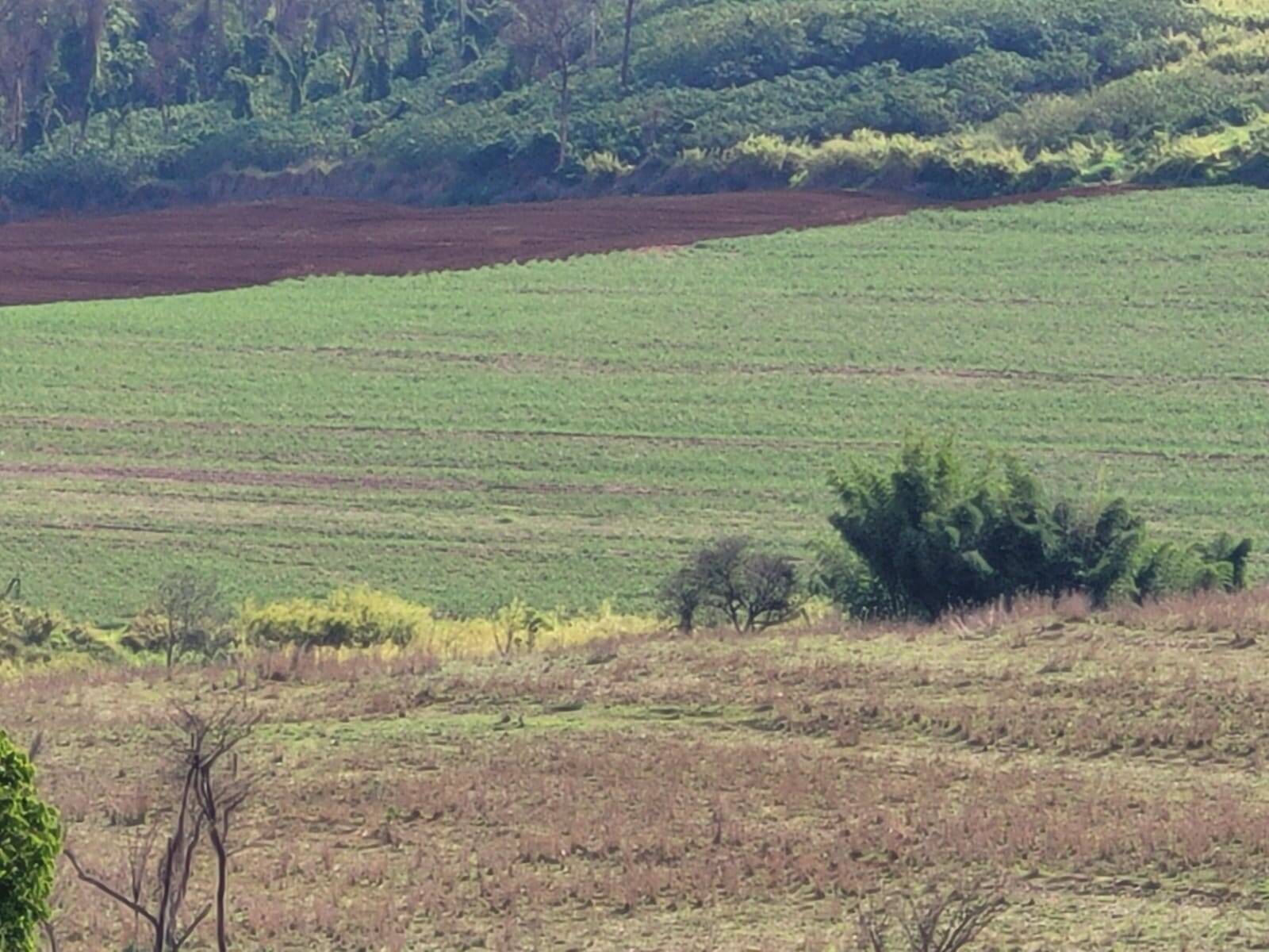 Terreno à venda, 25m² - Foto 3