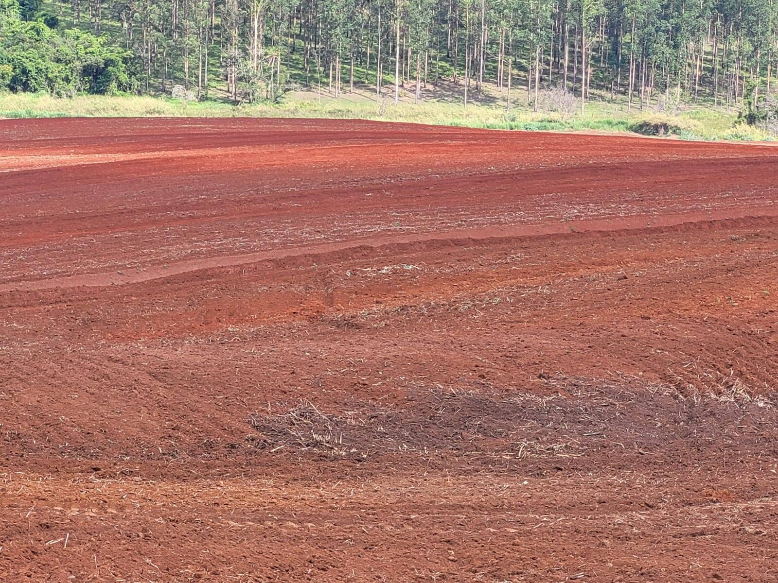 Terreno à venda, 25m² - Foto 6