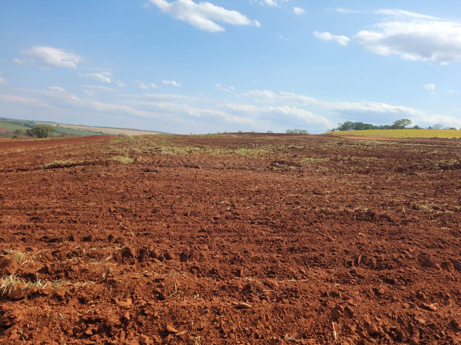 Terreno à venda, 25m² - Foto 7