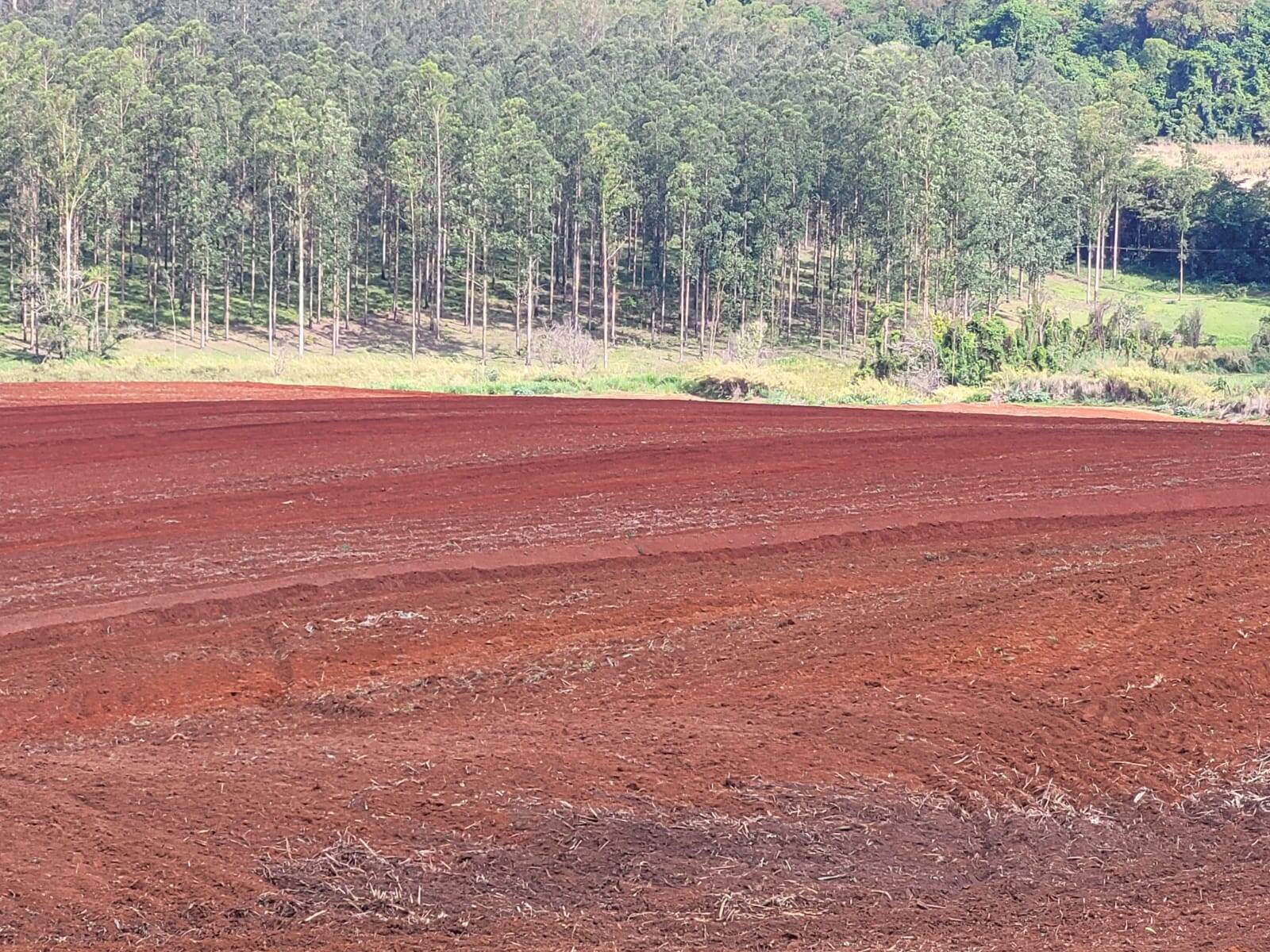 Terreno à venda, 25m² - Foto 15