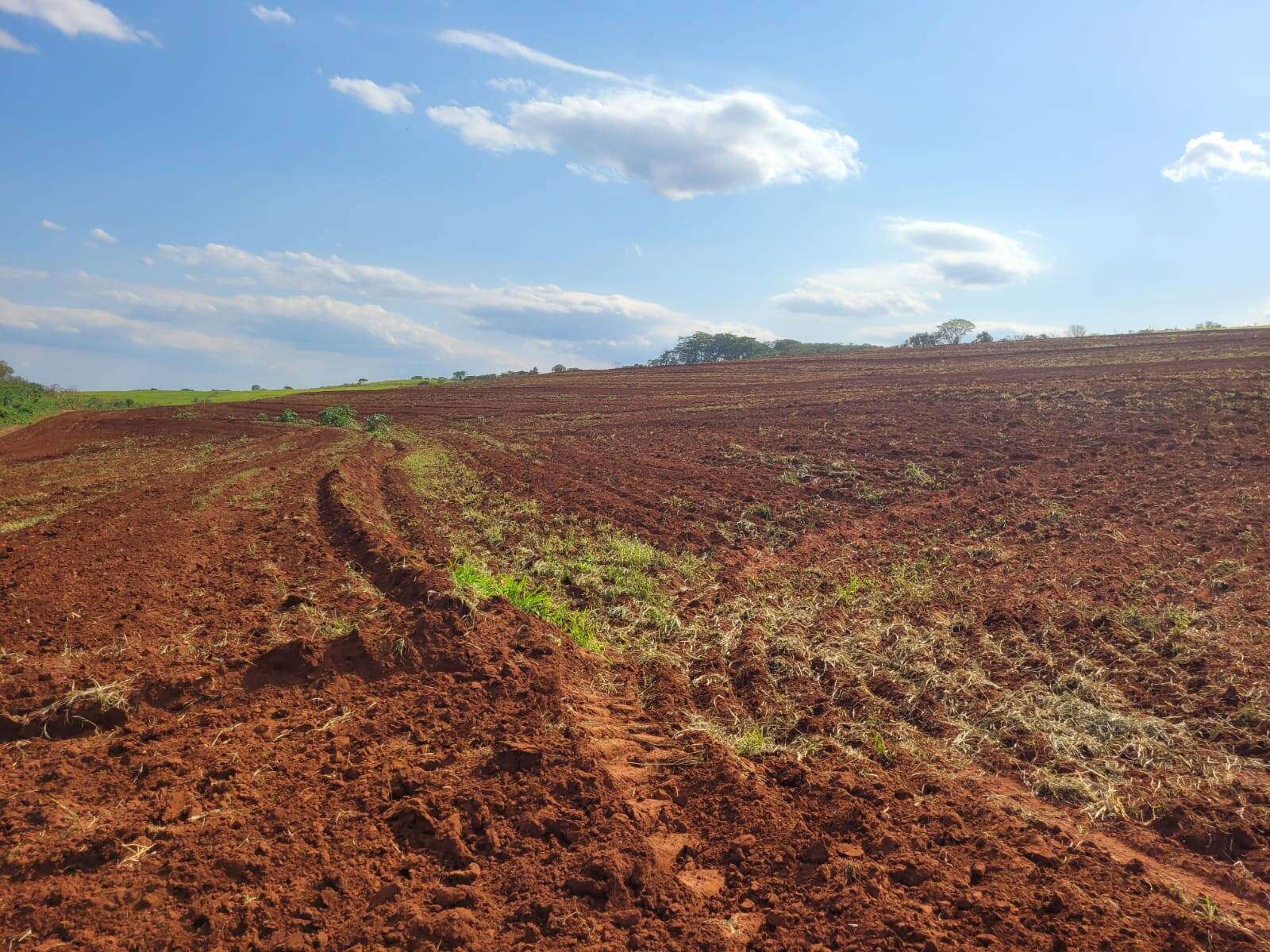 Terreno à venda, 25m² - Foto 13