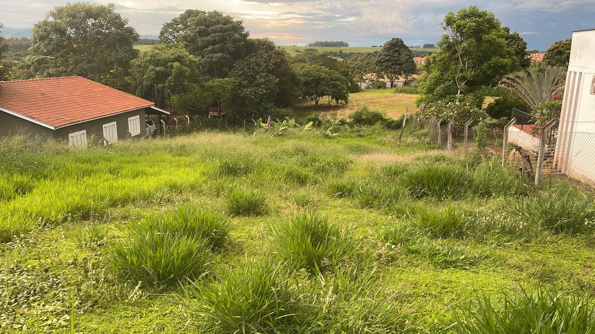 Terreno à venda, 1000m² - Foto 3