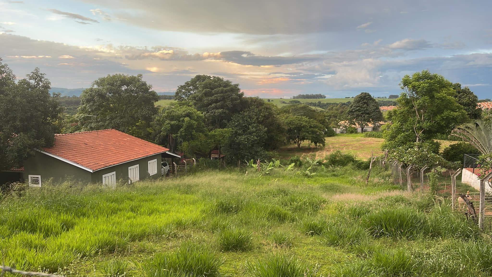 Terreno à venda, 1000m² - Foto 6