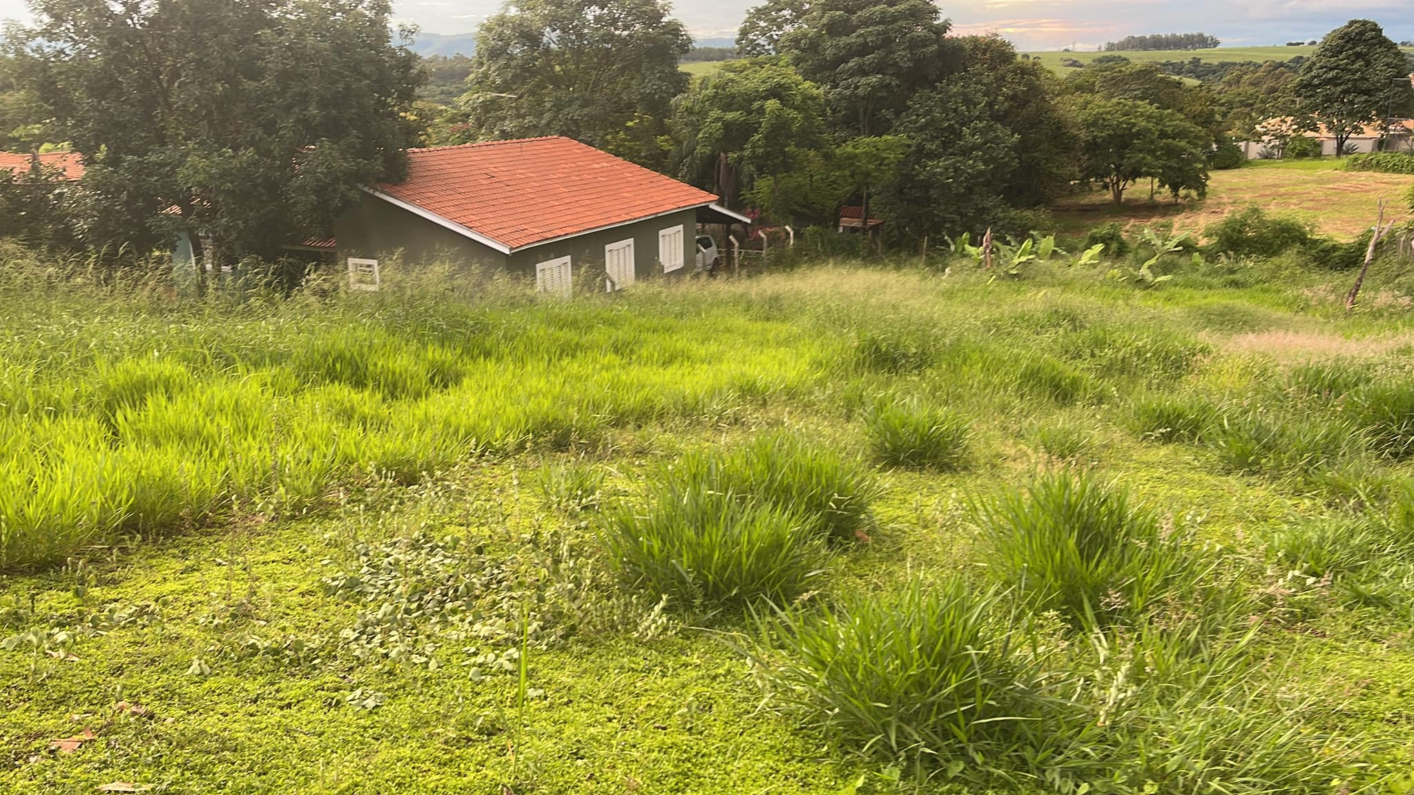 Terreno à venda, 1000m² - Foto 7