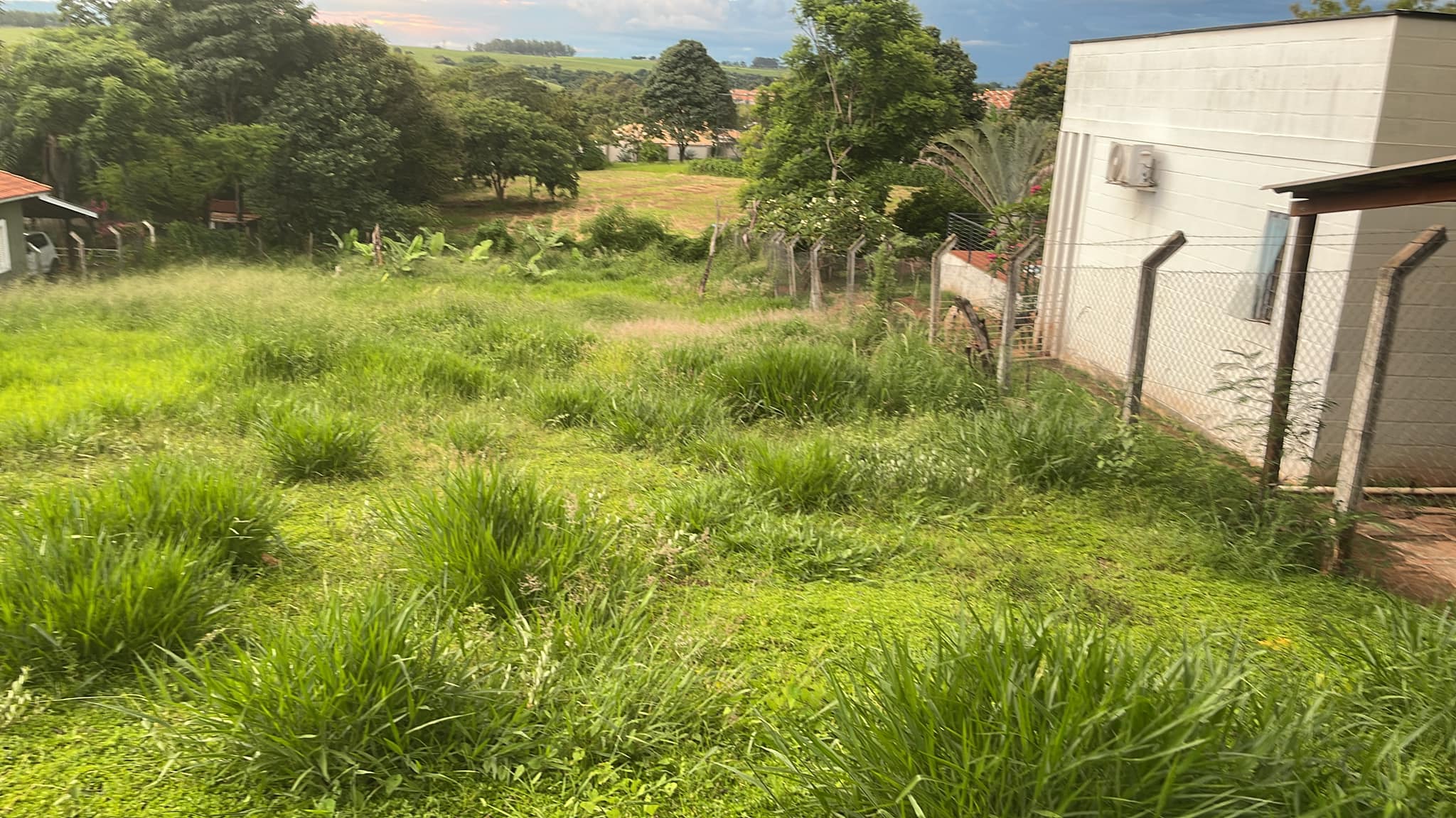 Terreno à venda, 1000m² - Foto 1