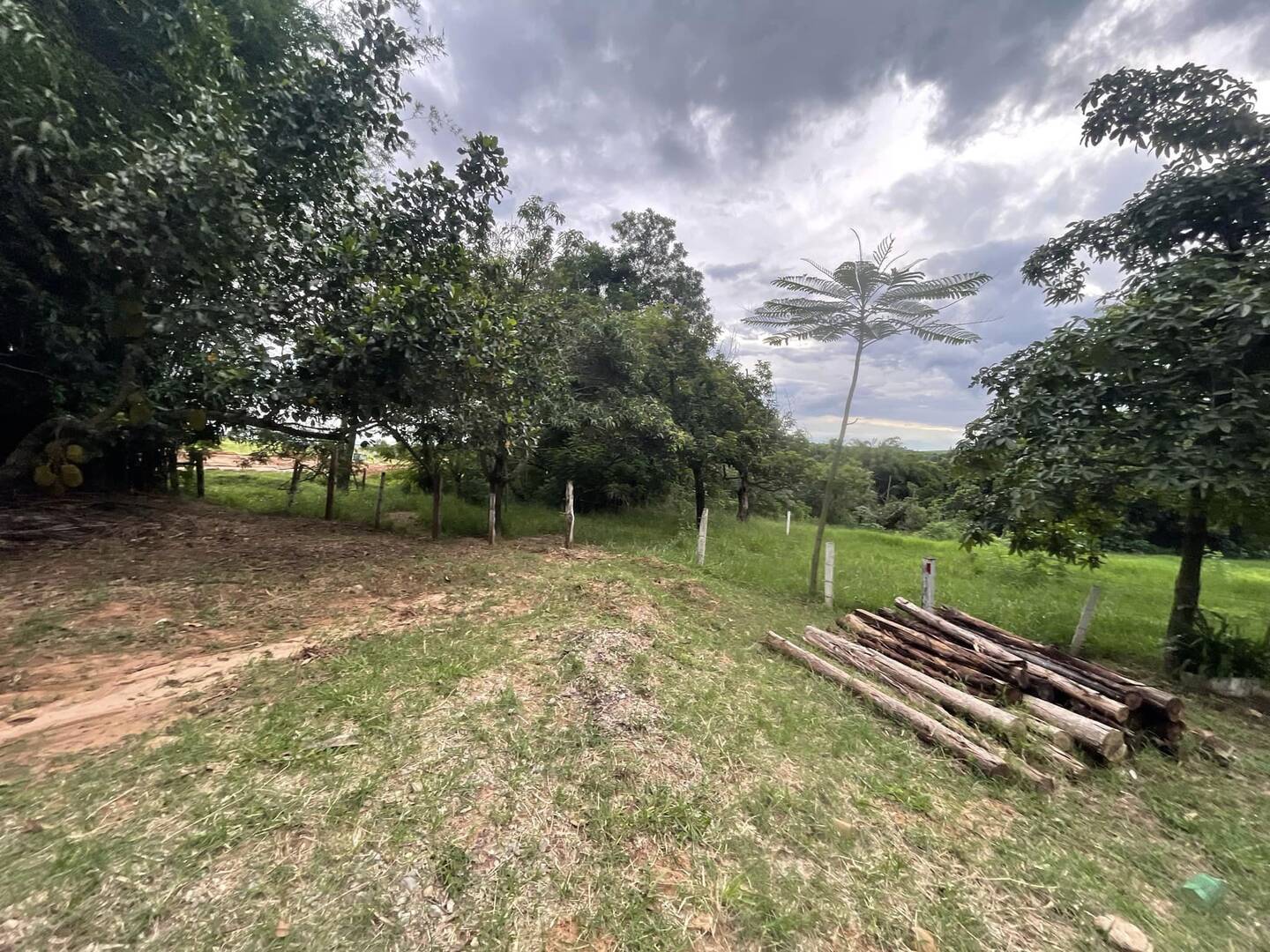 Fazenda à venda com 6 quartos, 22000m² - Foto 2