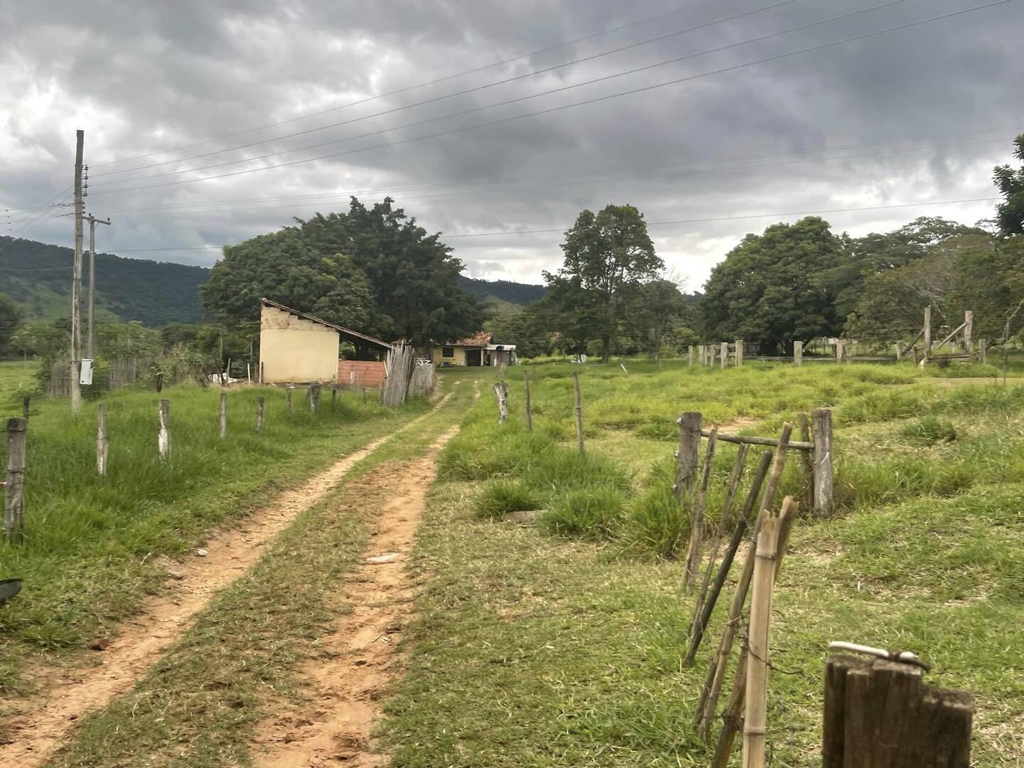 Fazenda à venda com 6 quartos, 22000m² - Foto 4