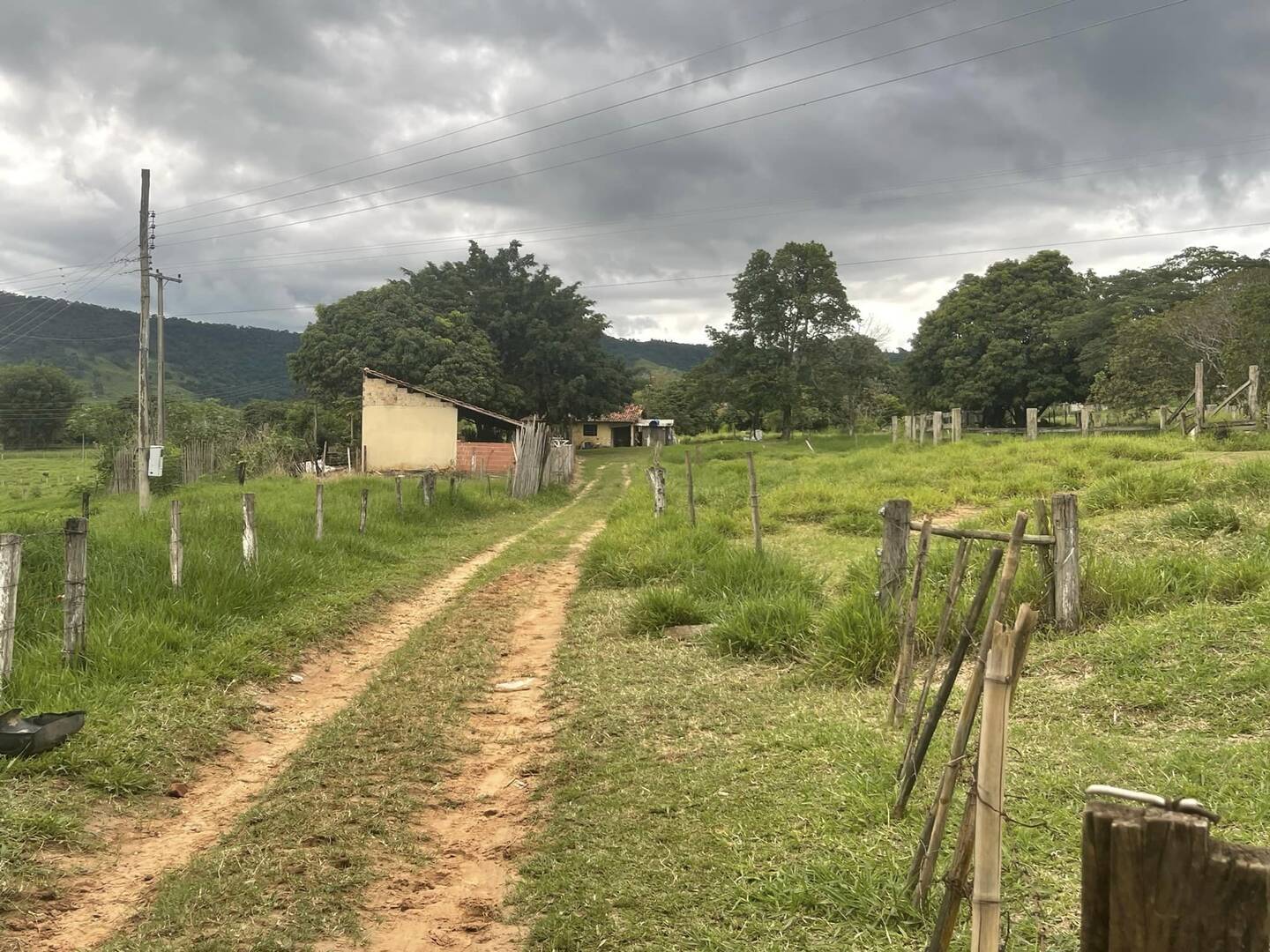 Fazenda à venda com 6 quartos, 22000m² - Foto 9