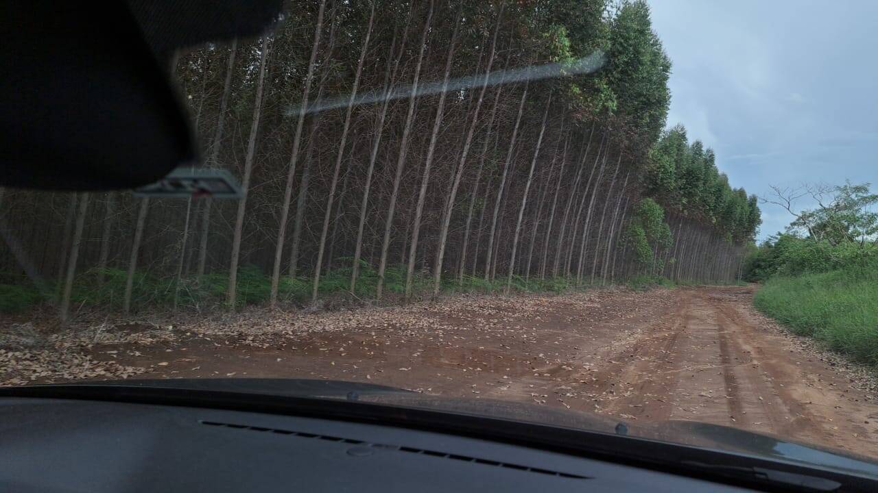 Terreno à venda, 25m² - Foto 7