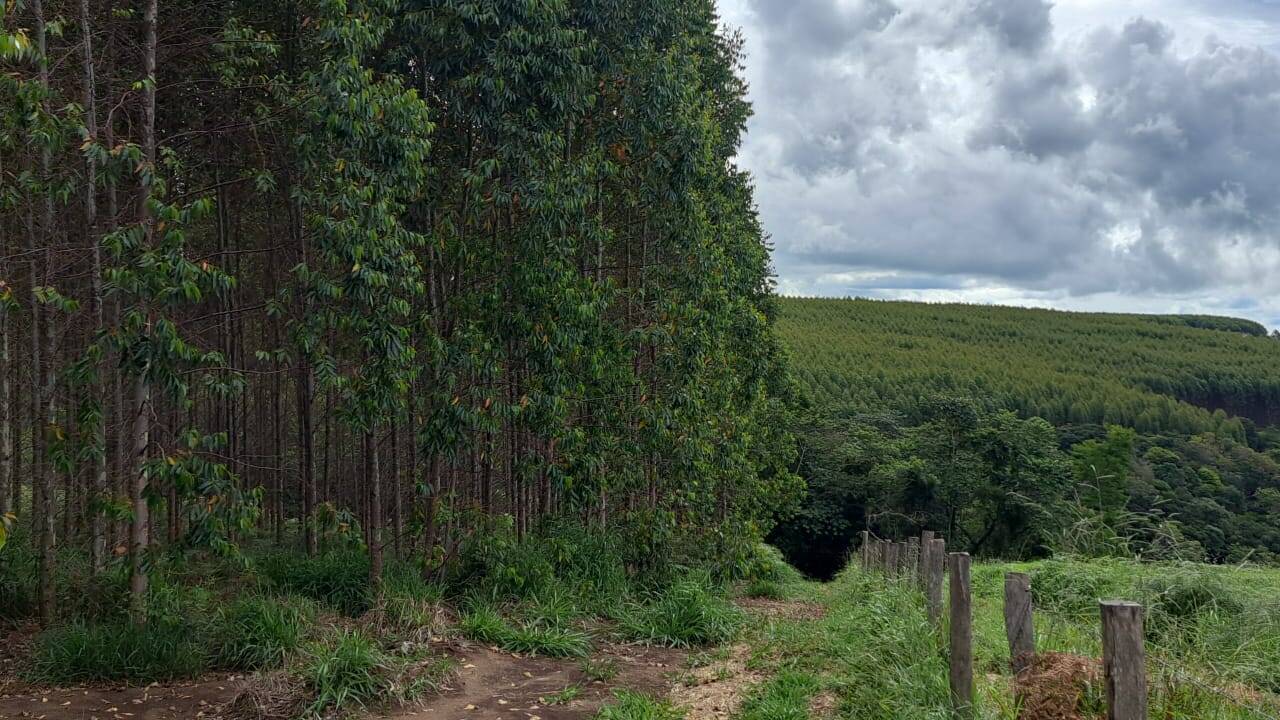 Terreno à venda, 25m² - Foto 9