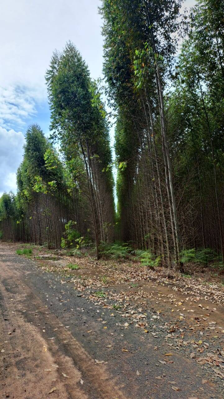 Terreno à venda, 25m² - Foto 11