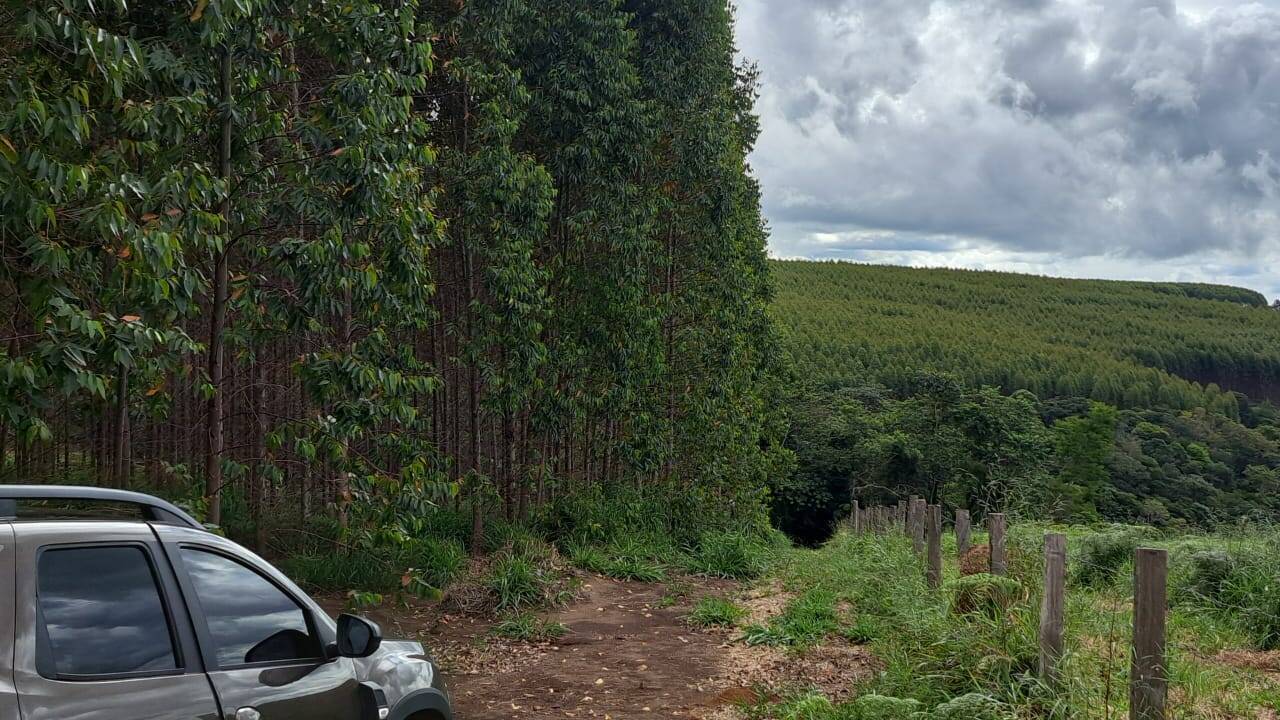 Terreno à venda, 25m² - Foto 15