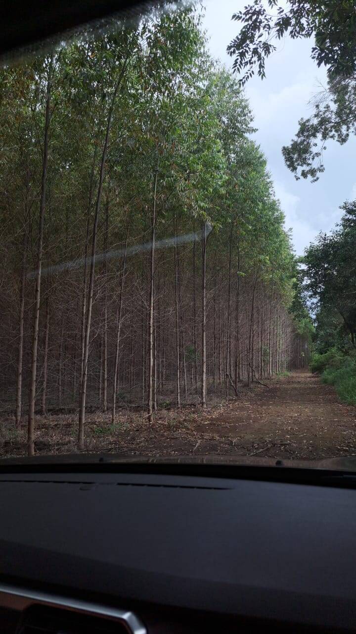 Terreno à venda, 25m² - Foto 14