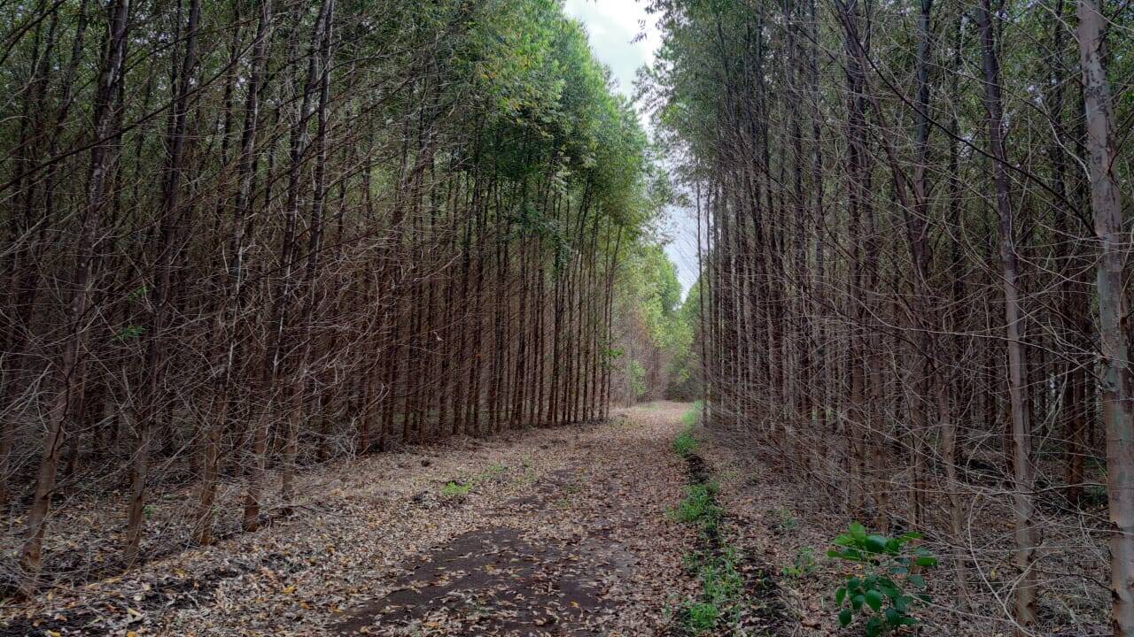 Terreno à venda, 25m² - Foto 1