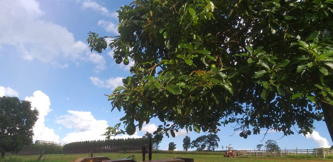 Terreno à venda, 20m² - Foto 4