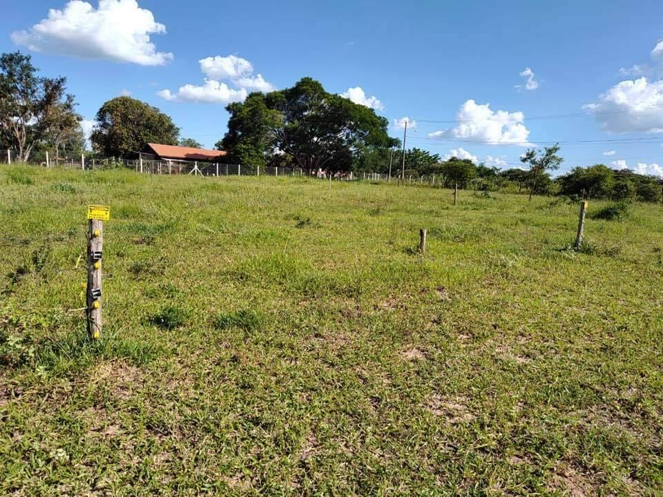 Terreno à venda, 5000m² - Foto 2