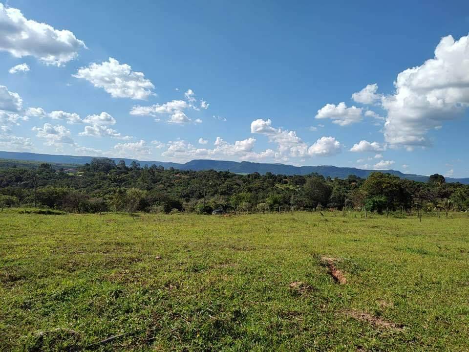 Terreno à venda, 5000m² - Foto 4