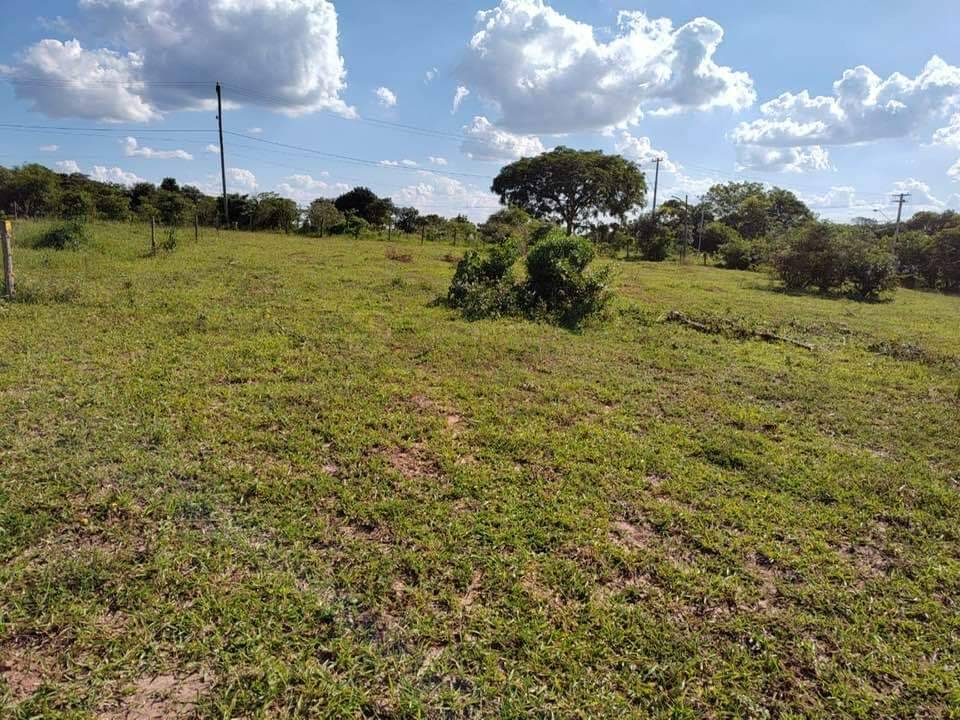 Terreno à venda, 5000m² - Foto 8