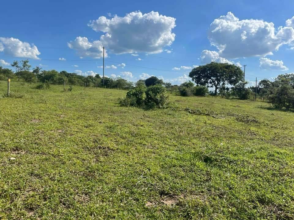 Terreno à venda, 5000m² - Foto 11