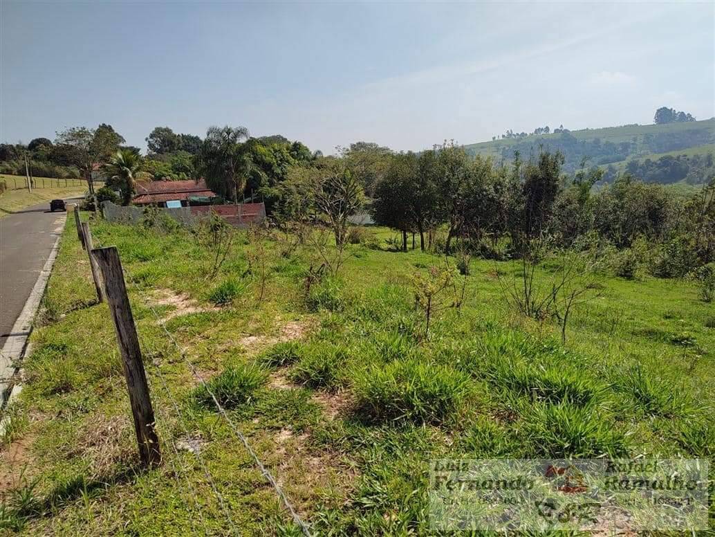 Terreno à venda, 5000m² - Foto 4