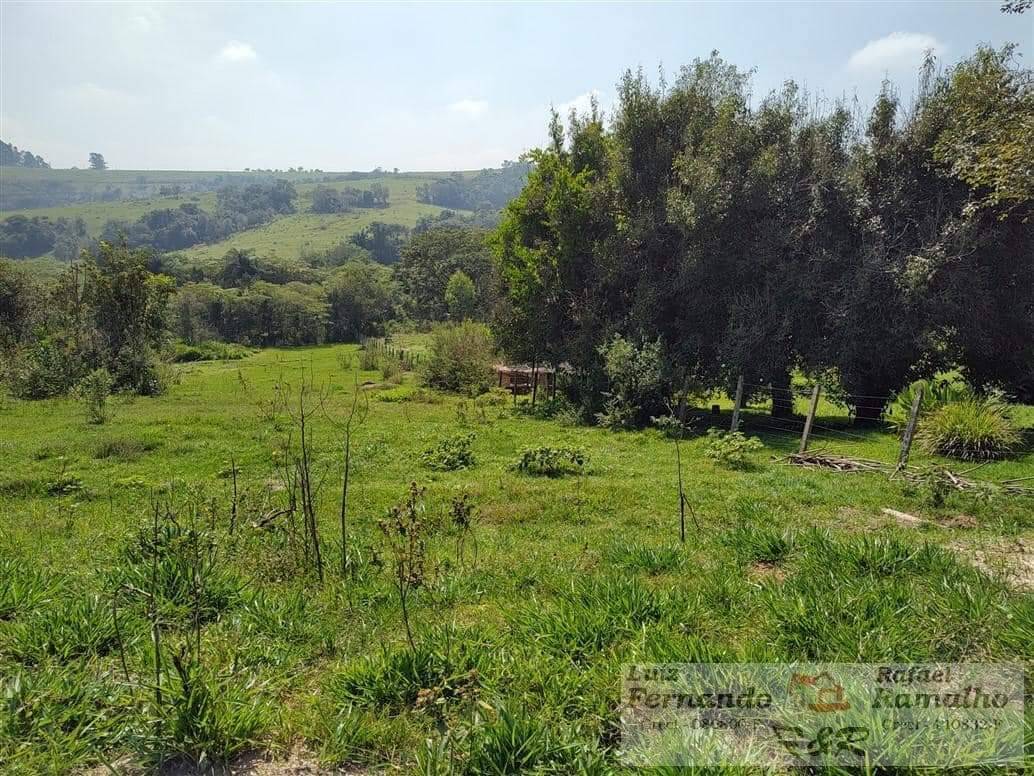 Terreno à venda, 5000m² - Foto 3