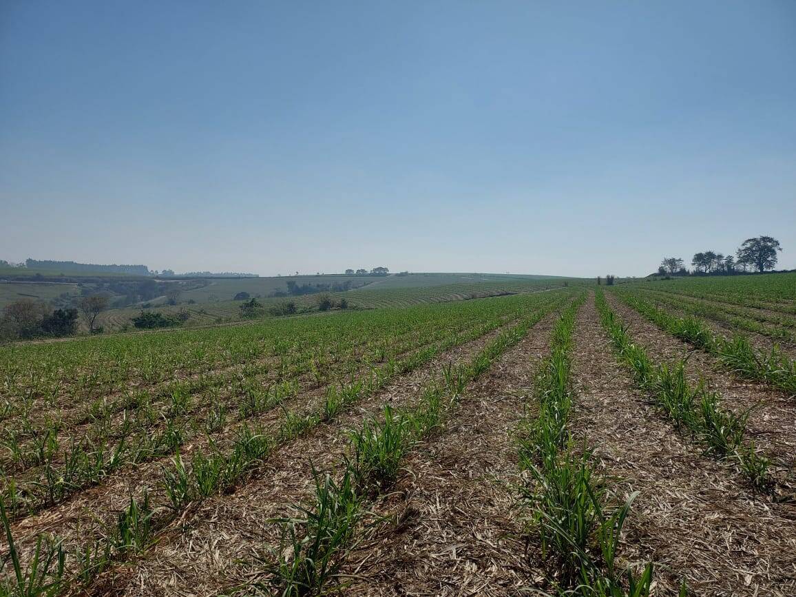 Terreno à venda, 396m² - Foto 1