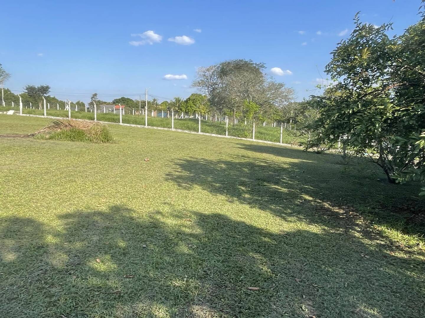 Fazenda à venda com 4 quartos, 200m² - Foto 13