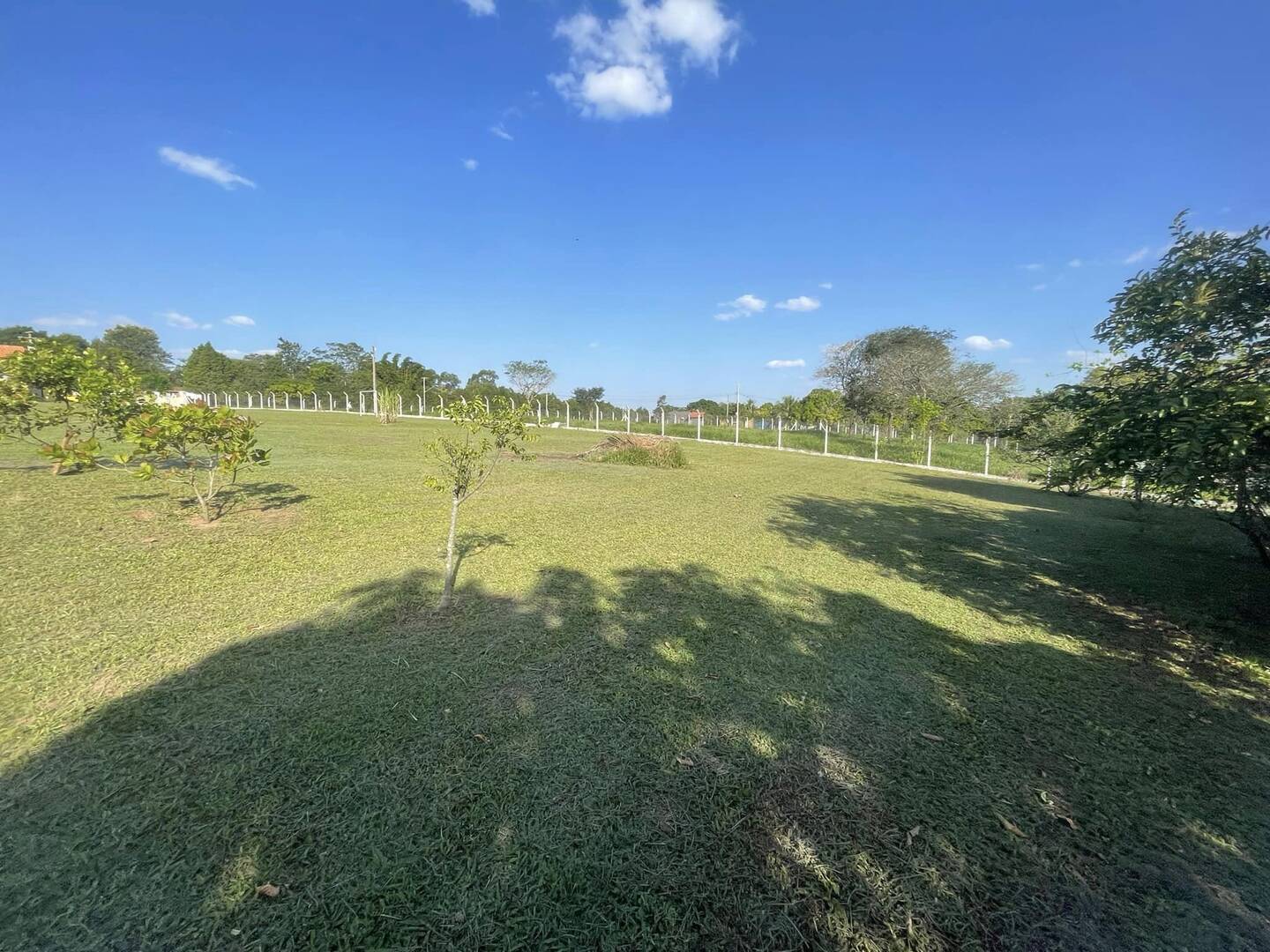 Fazenda à venda com 4 quartos, 200m² - Foto 22