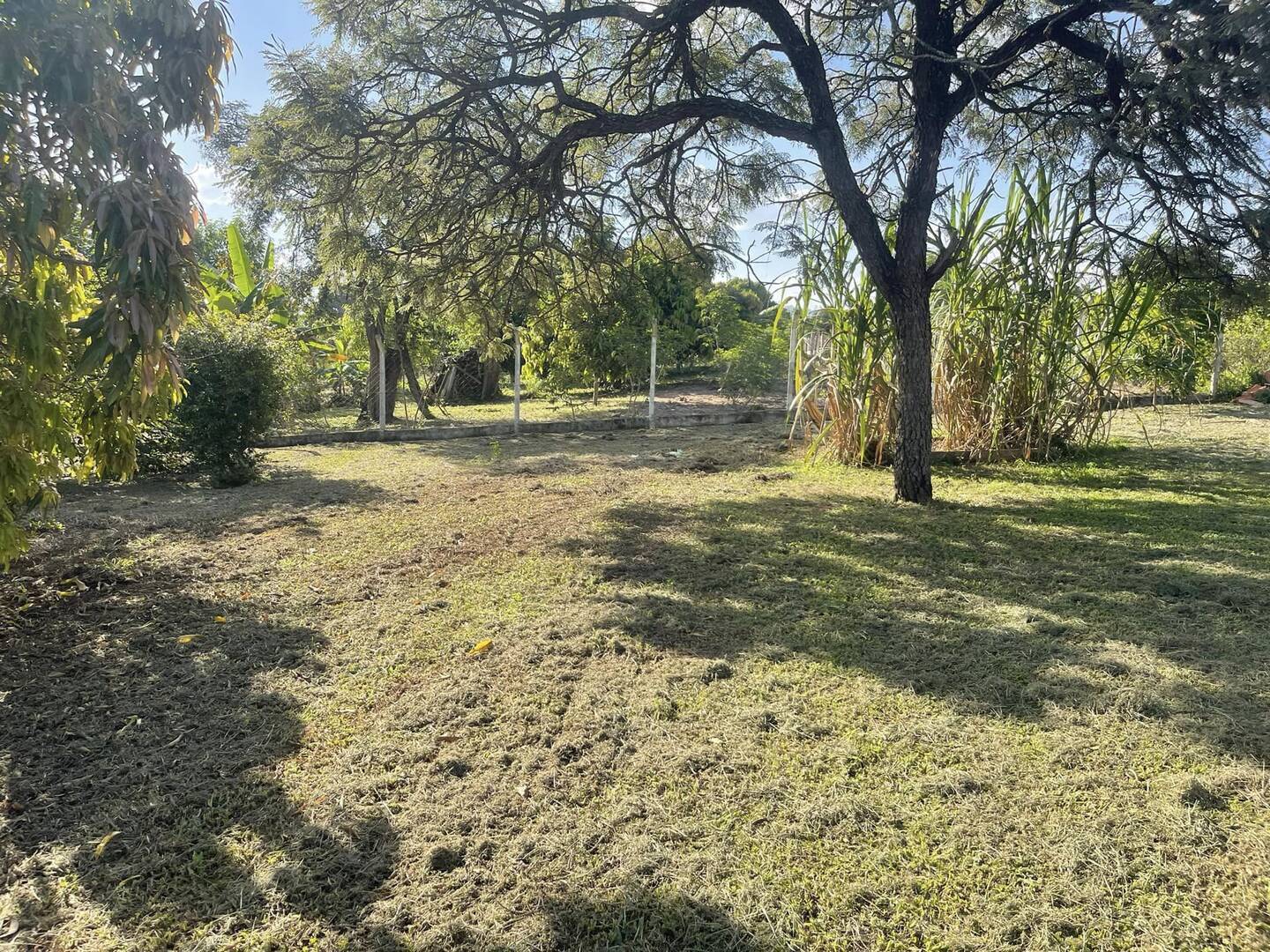 Fazenda à venda com 4 quartos, 200m² - Foto 32