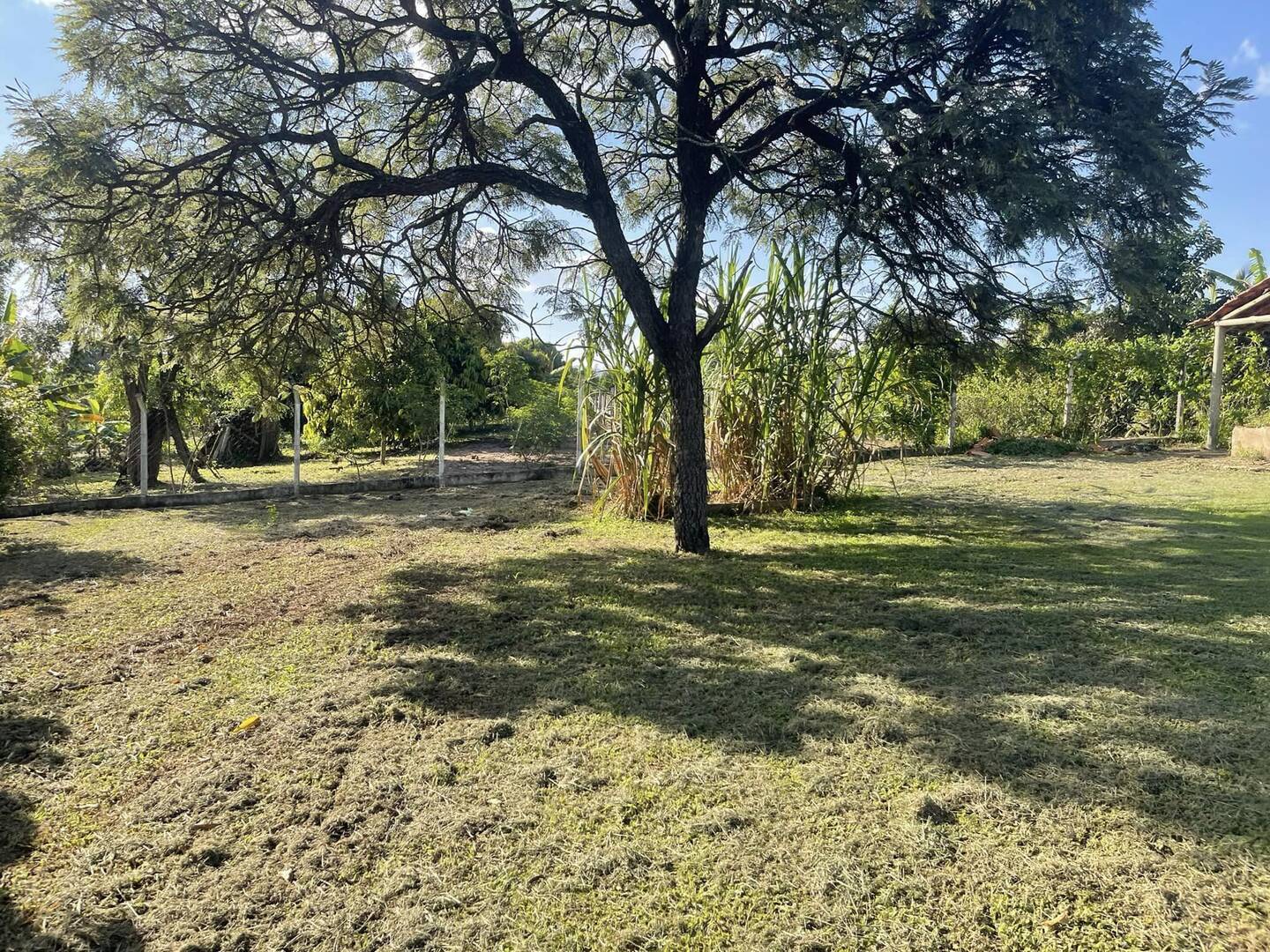 Fazenda à venda com 4 quartos, 200m² - Foto 34