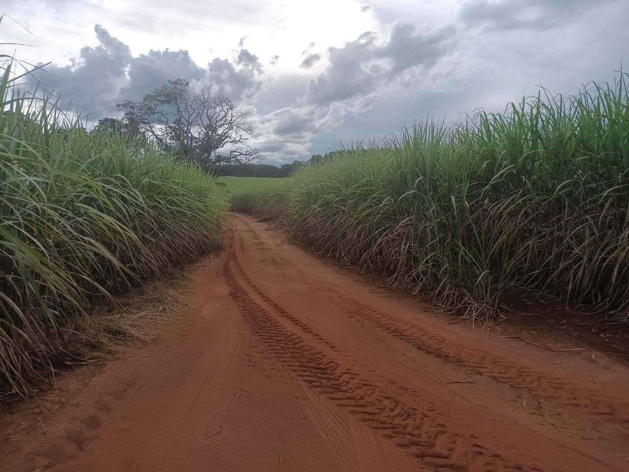 Terreno à venda, 200m² - Foto 2