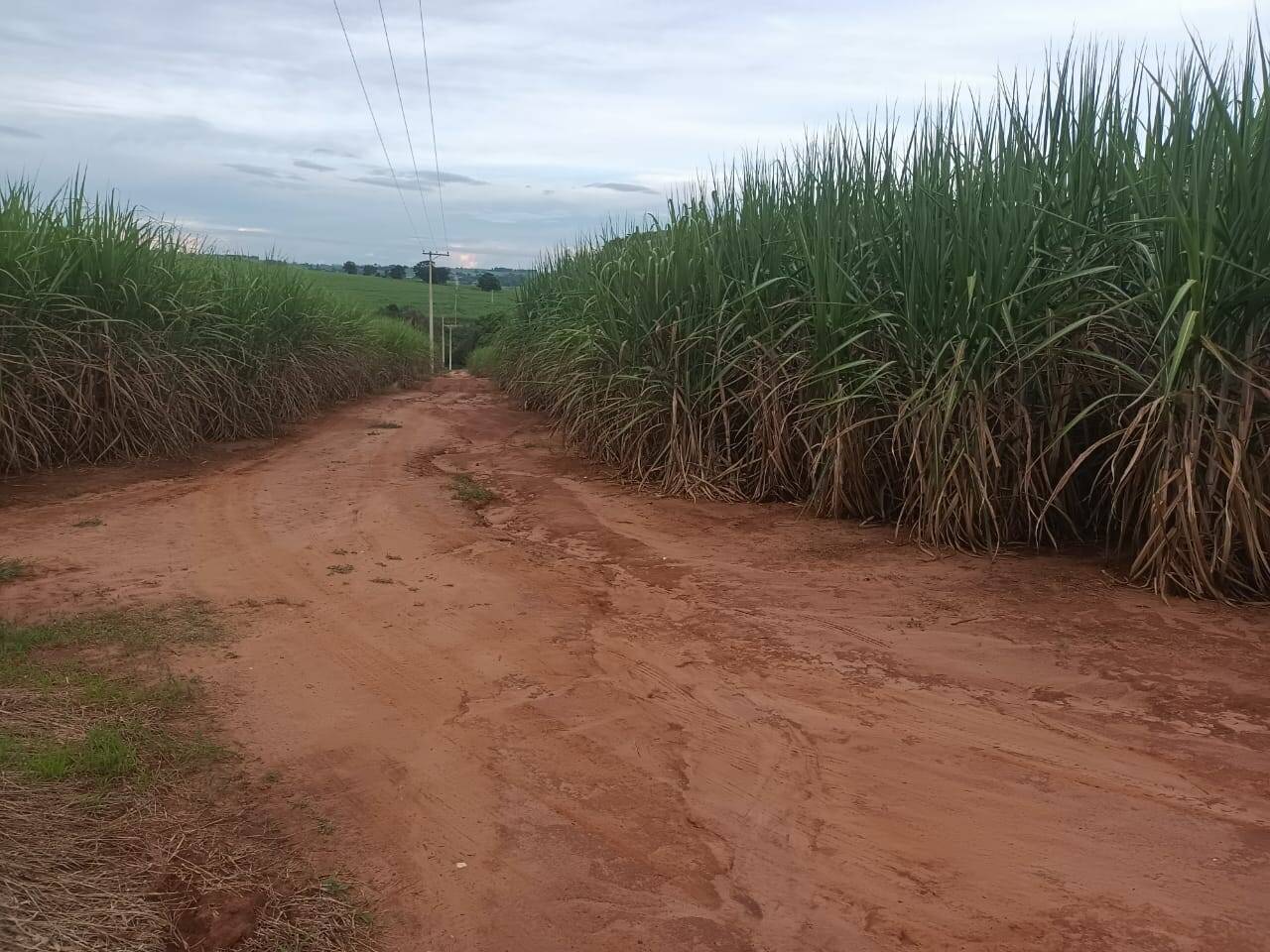 Terreno à venda, 200m² - Foto 3