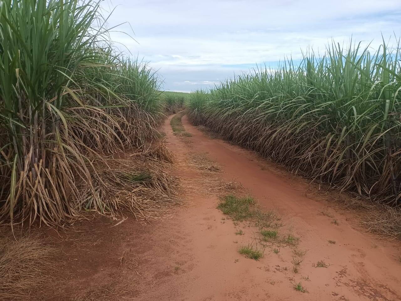 Terreno à venda, 200m² - Foto 4