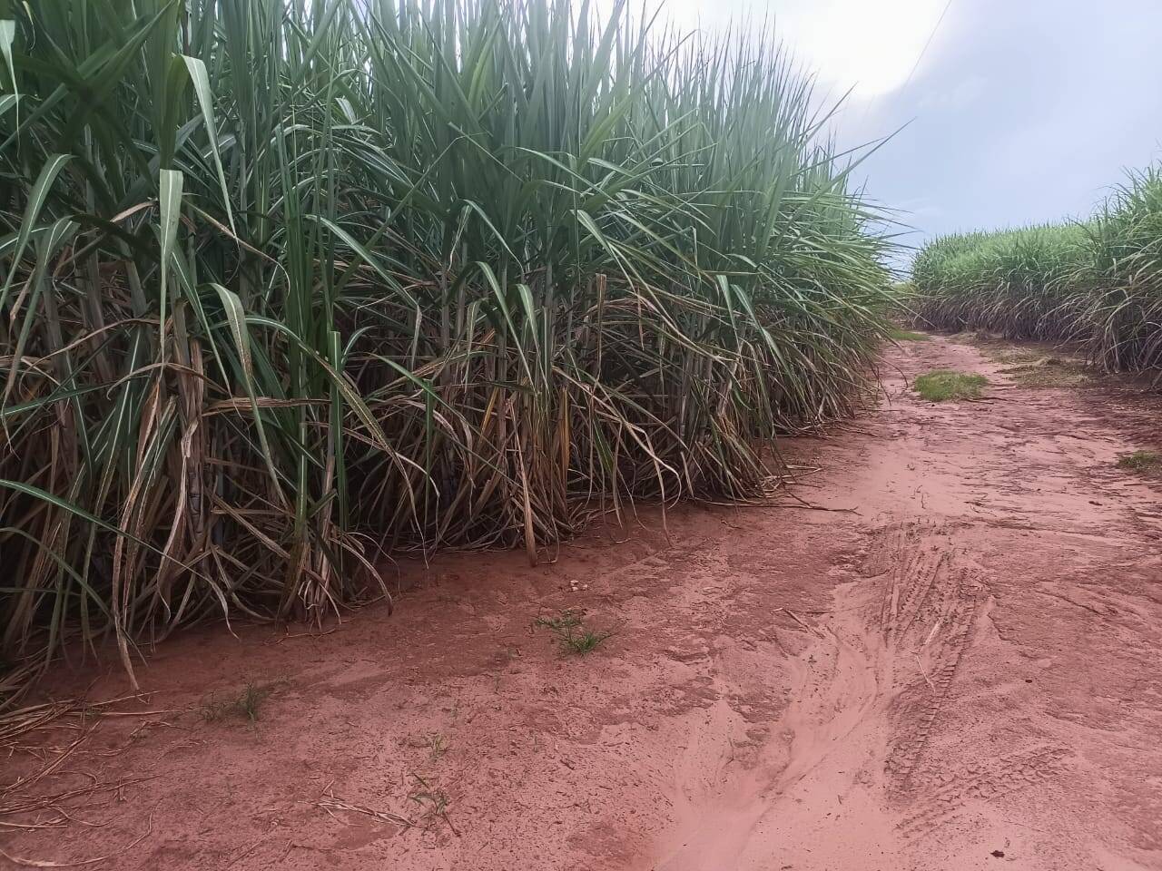 Terreno à venda, 200m² - Foto 5