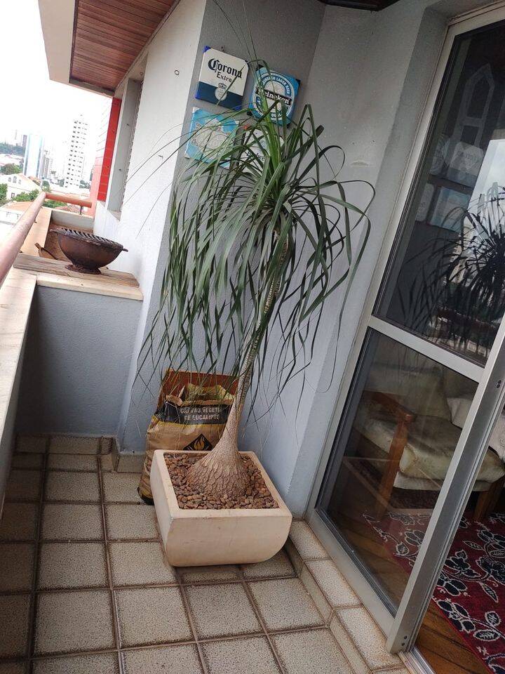 Apartamento à venda com 3 quartos, 100m² - Foto 16