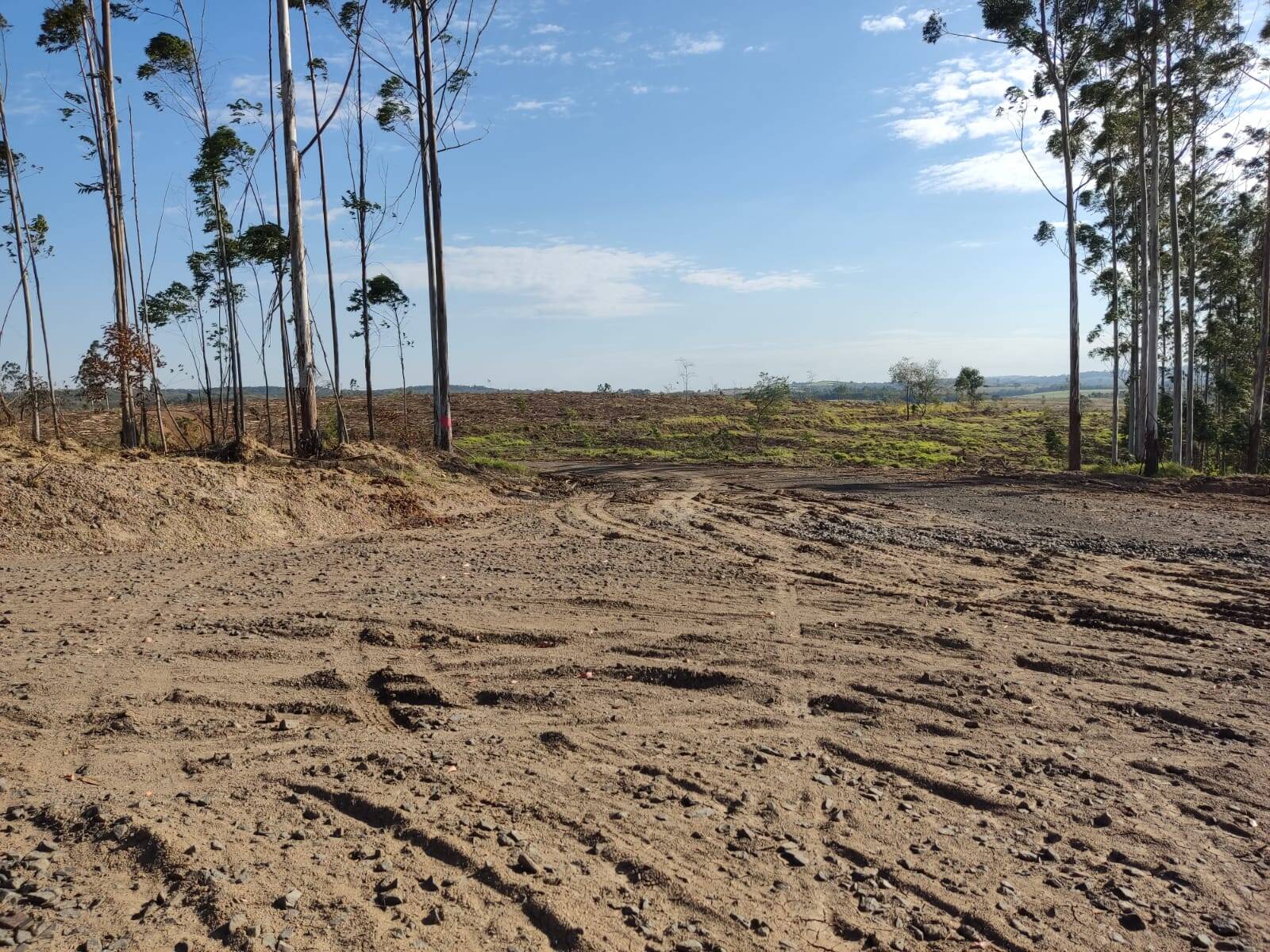 Terreno à venda, 194m² - Foto 3