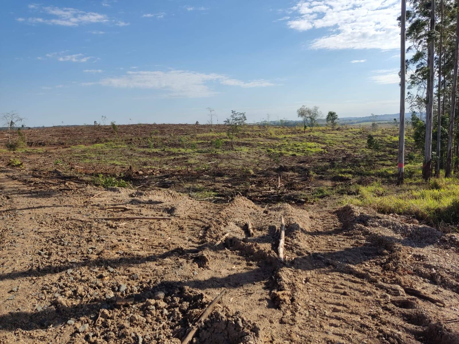 Terreno à venda, 194m² - Foto 5