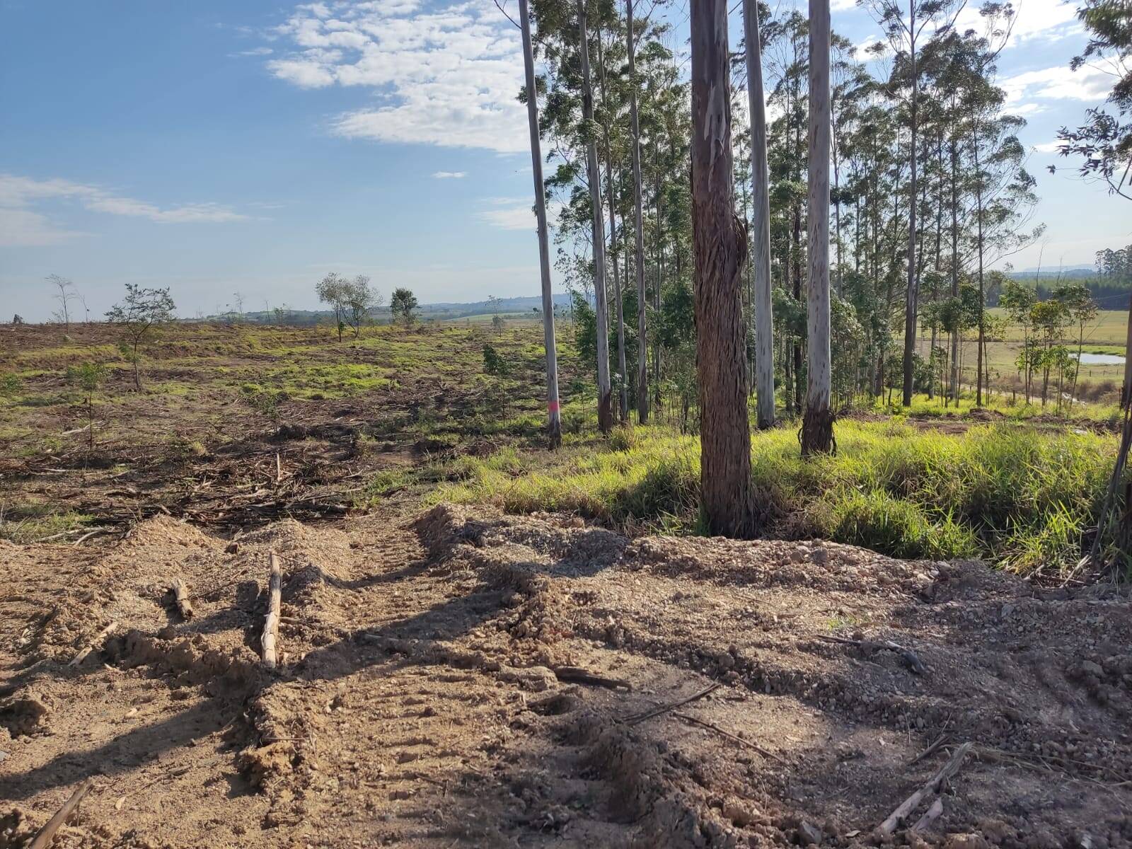 Terreno à venda, 194m² - Foto 4