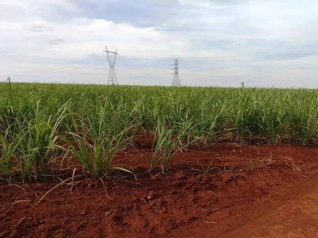 #520 - Sítio para Venda em Santa Bárbara d'Oeste - SP