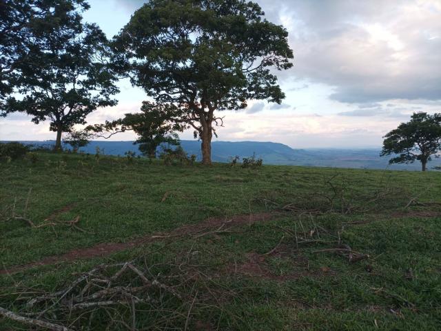 #530 - Sítio para Venda em São Pedro - SP