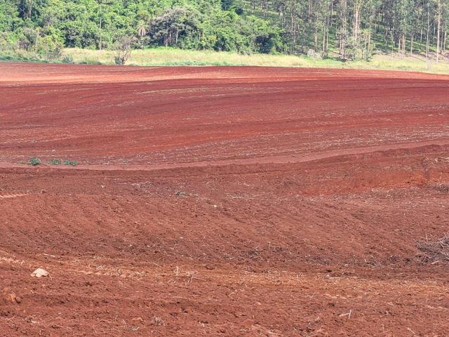 #556 - Sítio para Venda em Santa Rosa de Viterbo - SP